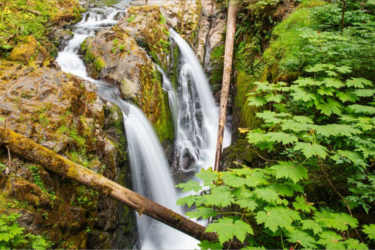 Sol Duc Falls, Olympic National Park