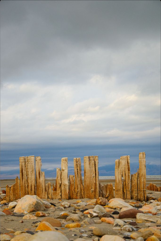 Piles at shores edge, The Great Salt Lake