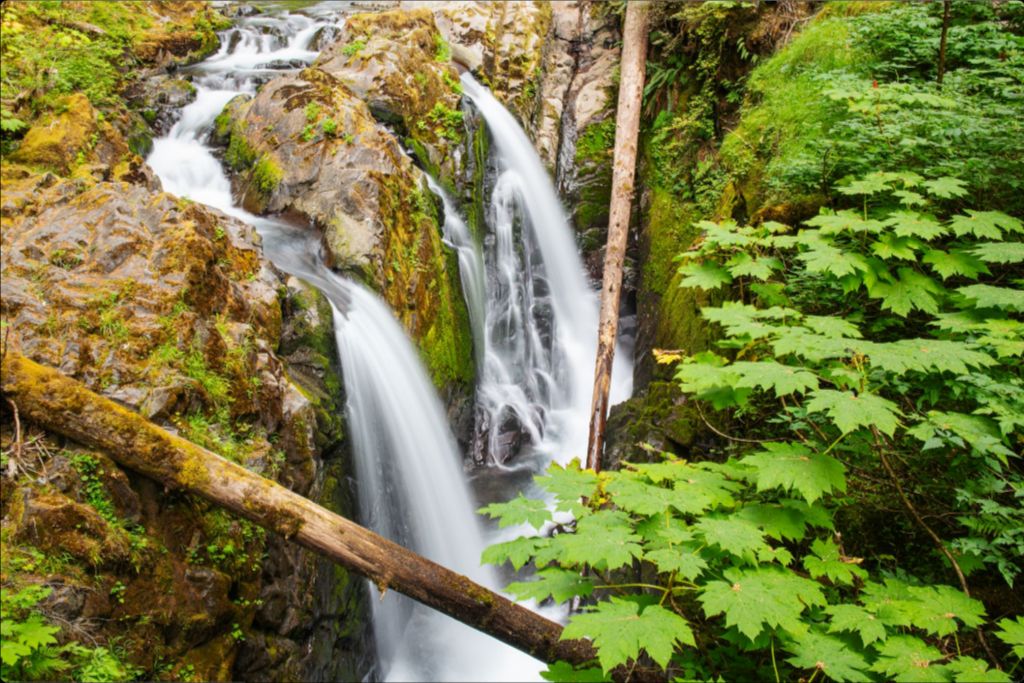 Sol Duc Falls, Olympic National Park