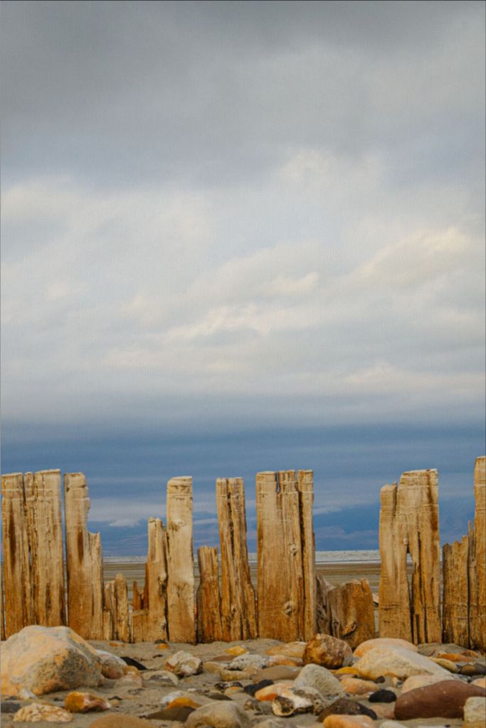 Piles at shores edge, The Great Salt Lake