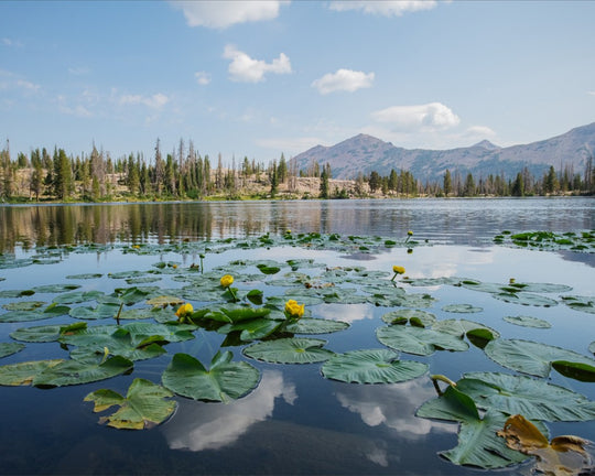 Ruth Lake