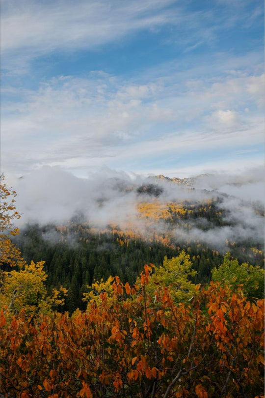 Misty Mountains Vertical