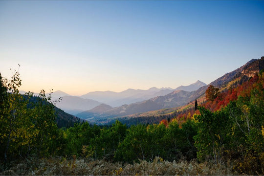 Autumn Mountains at Dawn