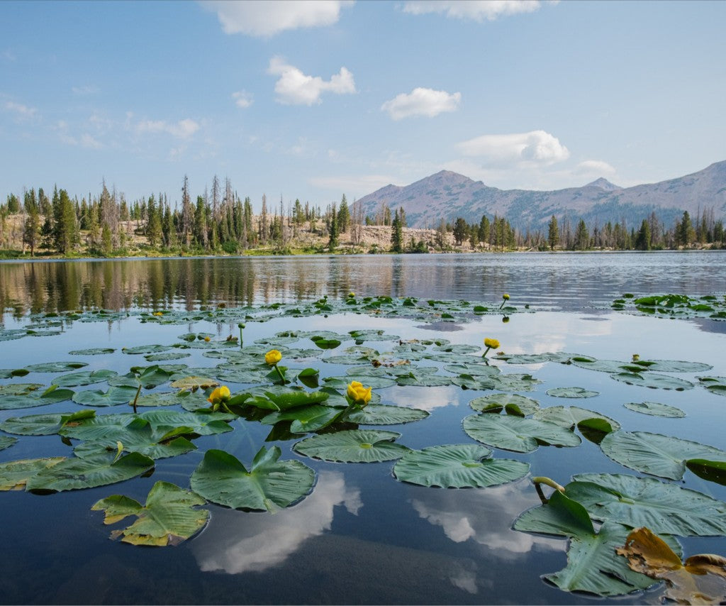 Ruth Lake