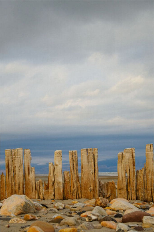 Piles at shores edge, The Great Salt Lake