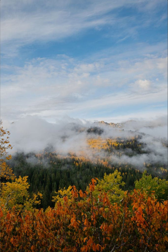 Misty Mountains Vertical