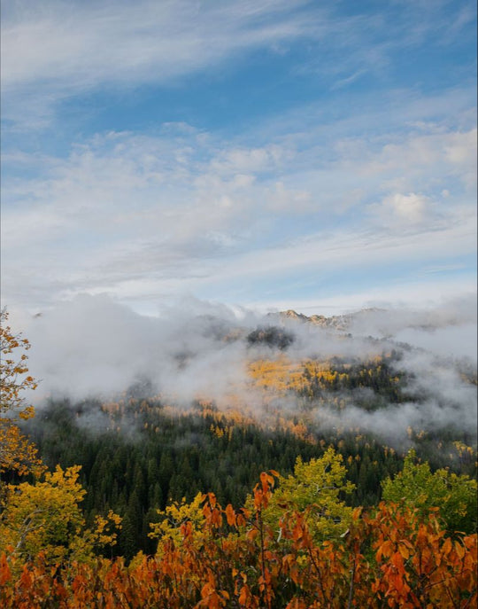 Misty Mountains Vertical